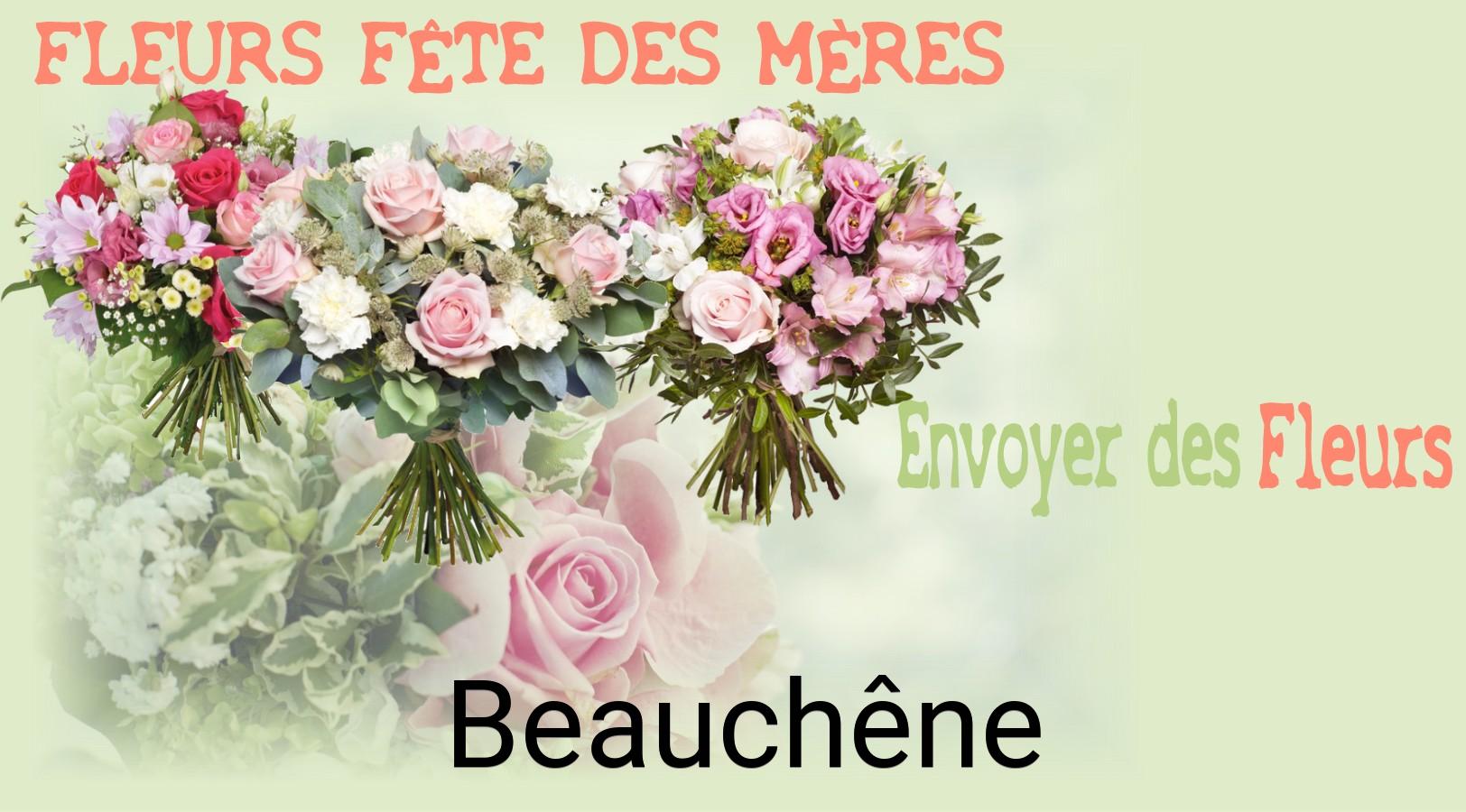 Bouquet de Fête des Mères livré à Beauchêne